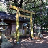 Đền Take cấp con dấu Goshuin NFT cho du khách